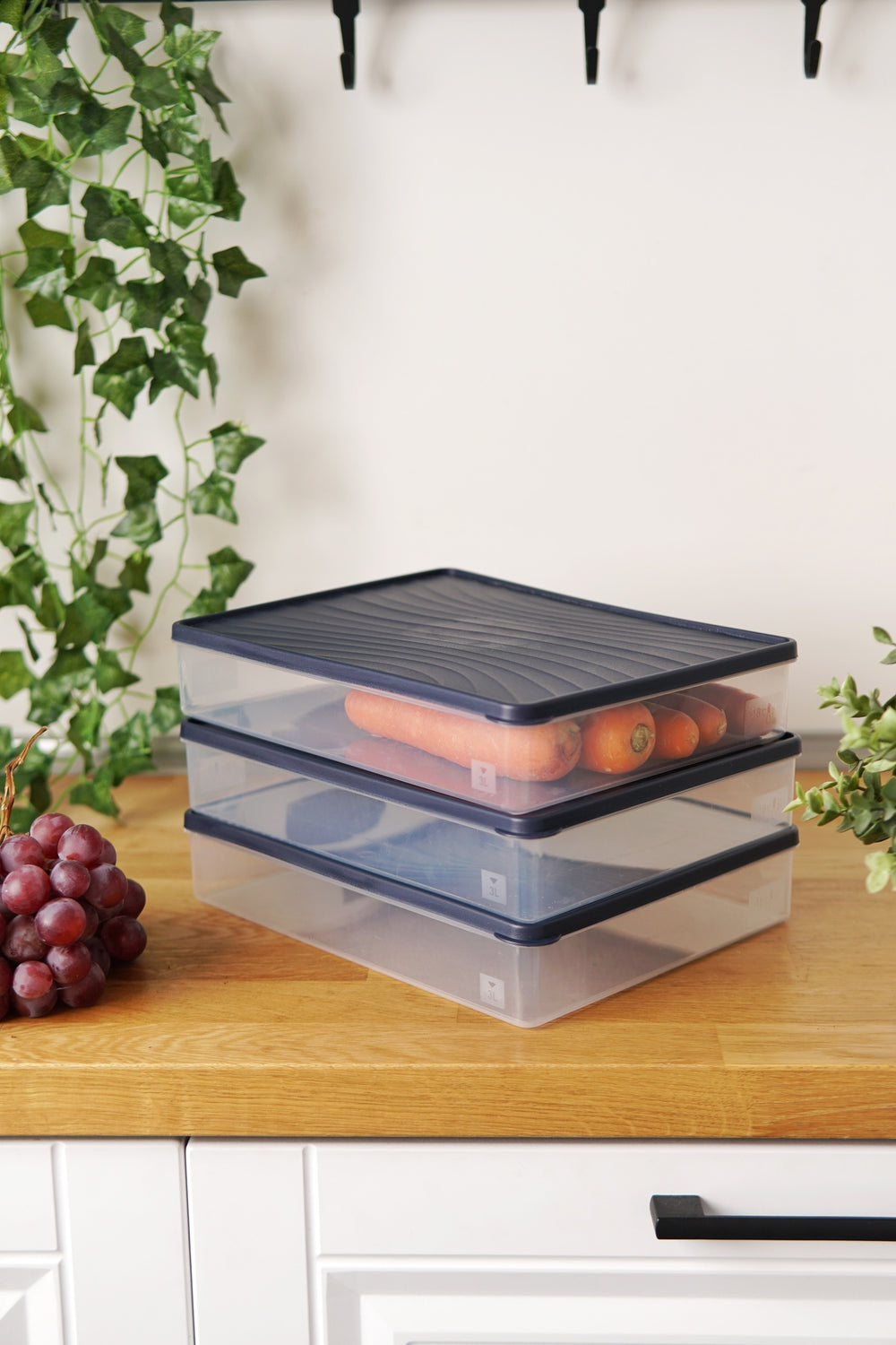 Derin Dondurucu Saklama Kabı 3'lü Set (3 x 3 Lt), Mavi