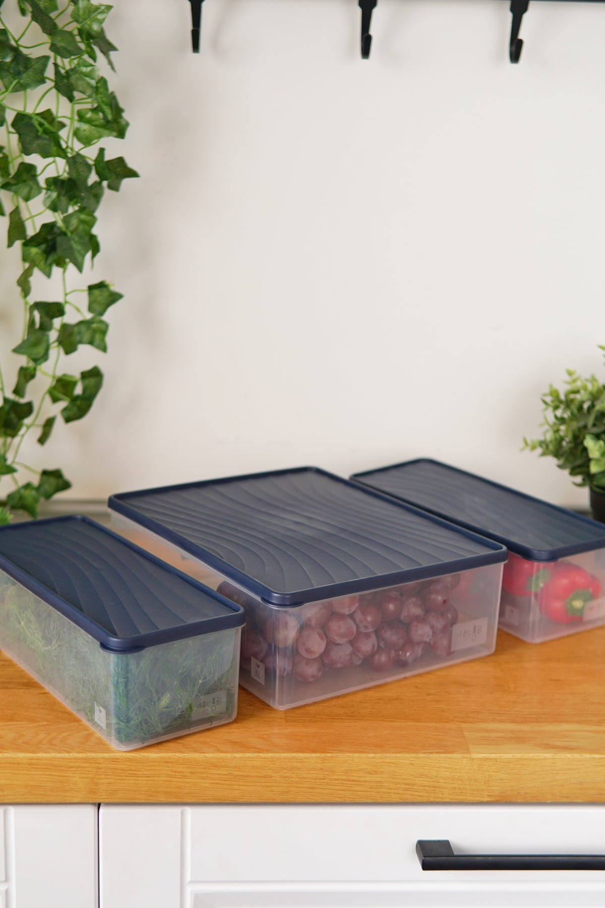 Evle Derin Dondurucu Saklama Kabı 3'lü Set (5 Lt + 2 x 2 Lt), Mavi