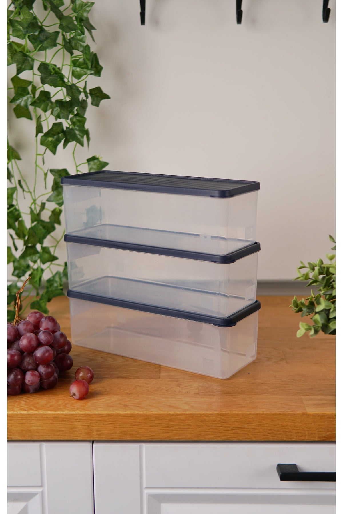 Evle Derin Dondurucu Saklama Kabı 3'lü Set (3 x 2 Lt), Mavi