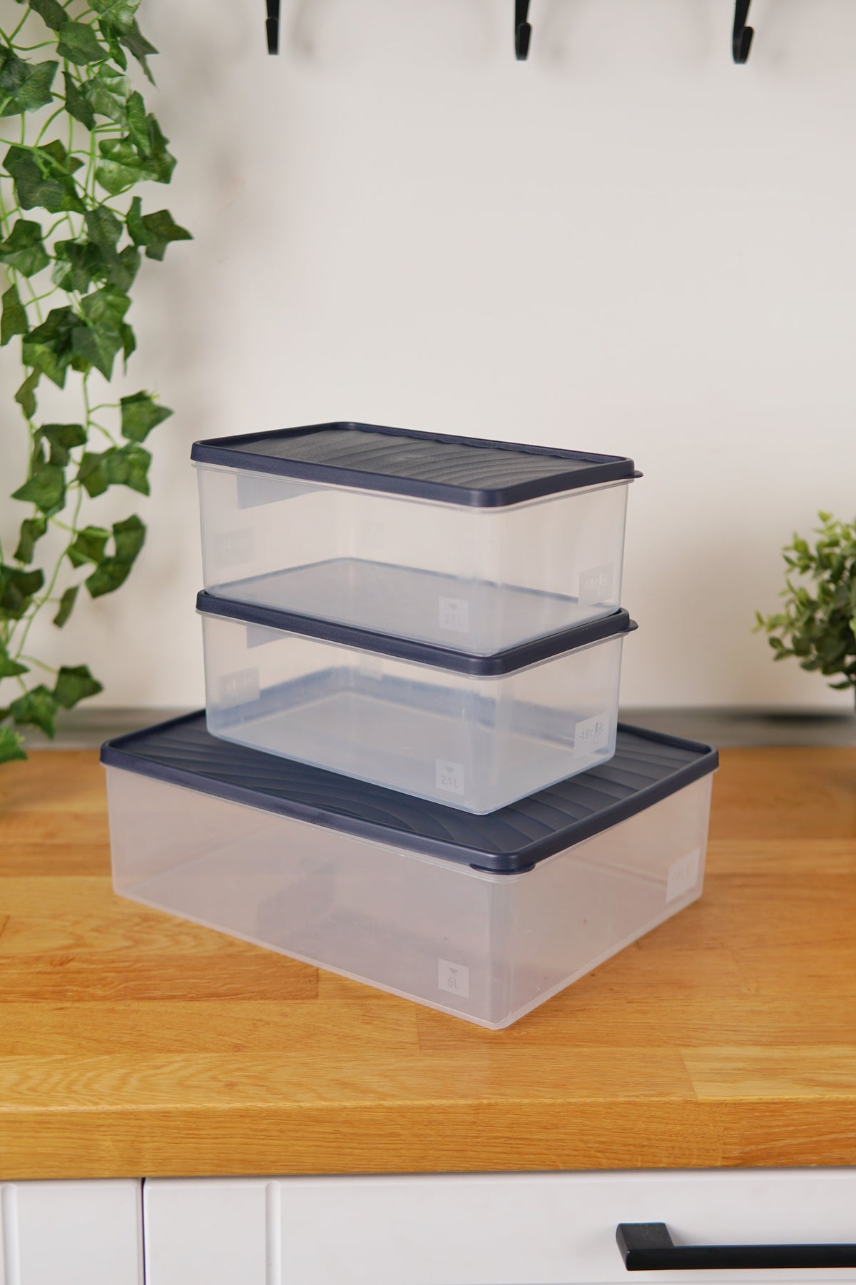 Evle Derin Dondurucu Saklama Kabı 3'lü Set (5 Lt + 2 x 2.1 Lt), Mavi