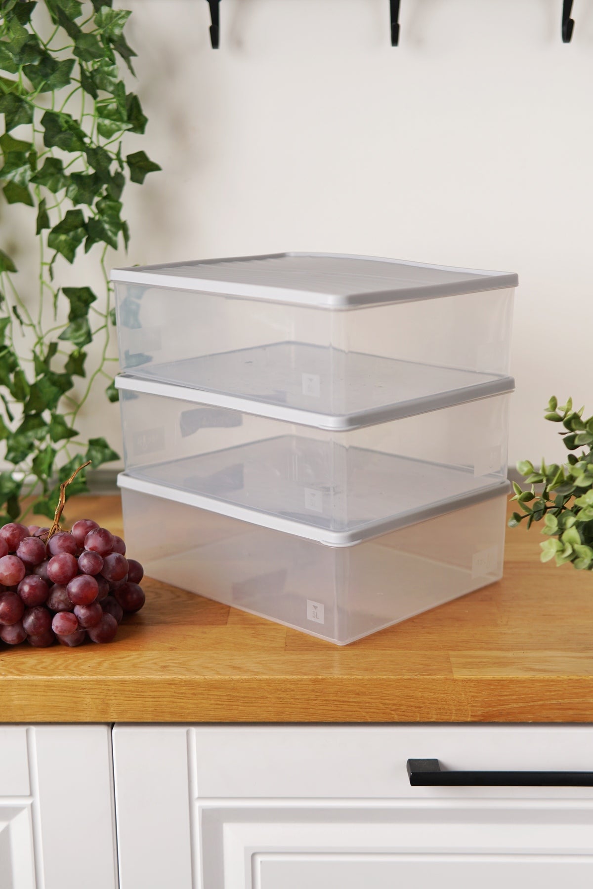 Evle Derin Dondurucu Saklama Kabı 3'lü Set (3 x 5 Lt), Gri