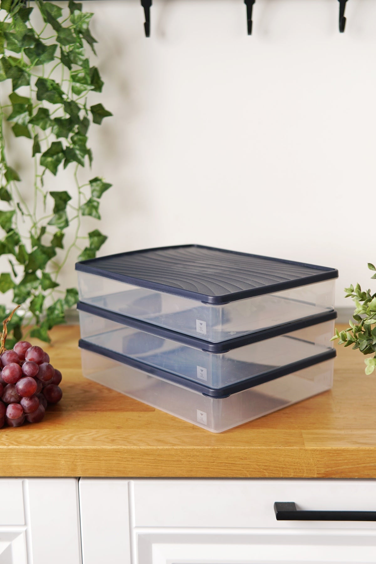Evle Derin Dondurucu Saklama Kabı 3'lü Set (3 x 3 Lt), Mavi