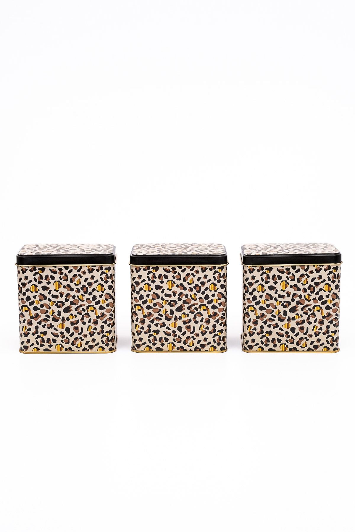 Evle Dikdörtgen Saklama Kabı 80x120 3 lü Set, Leo