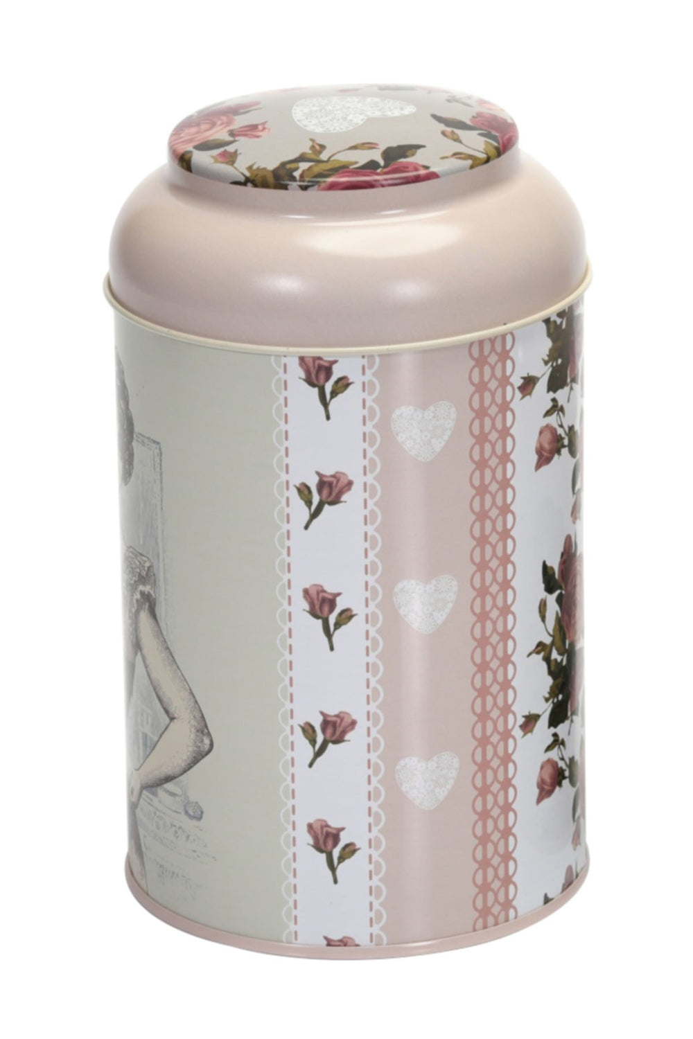 Rose Finette Blanche