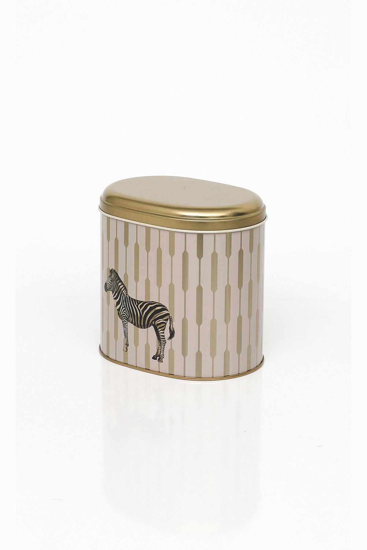Safari Zebra