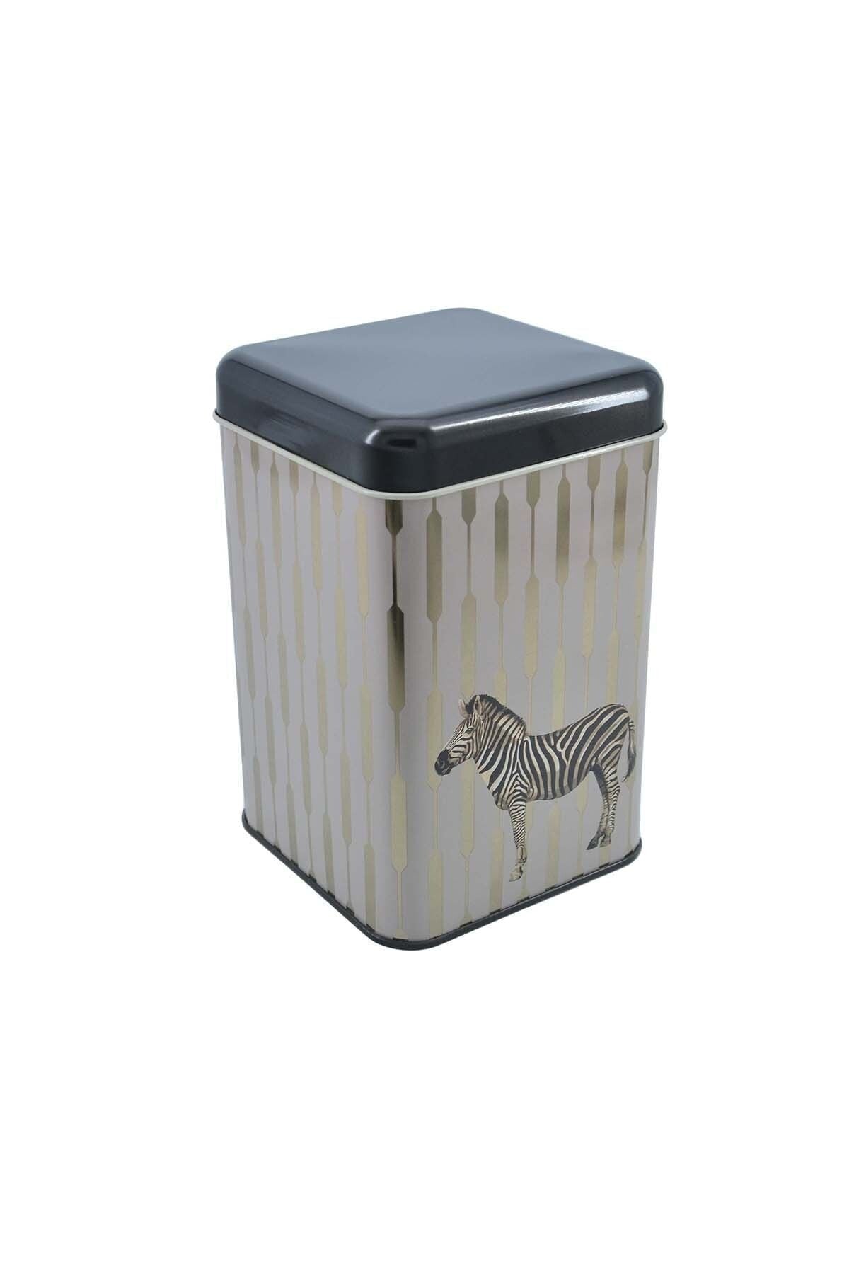 Safari Zebra