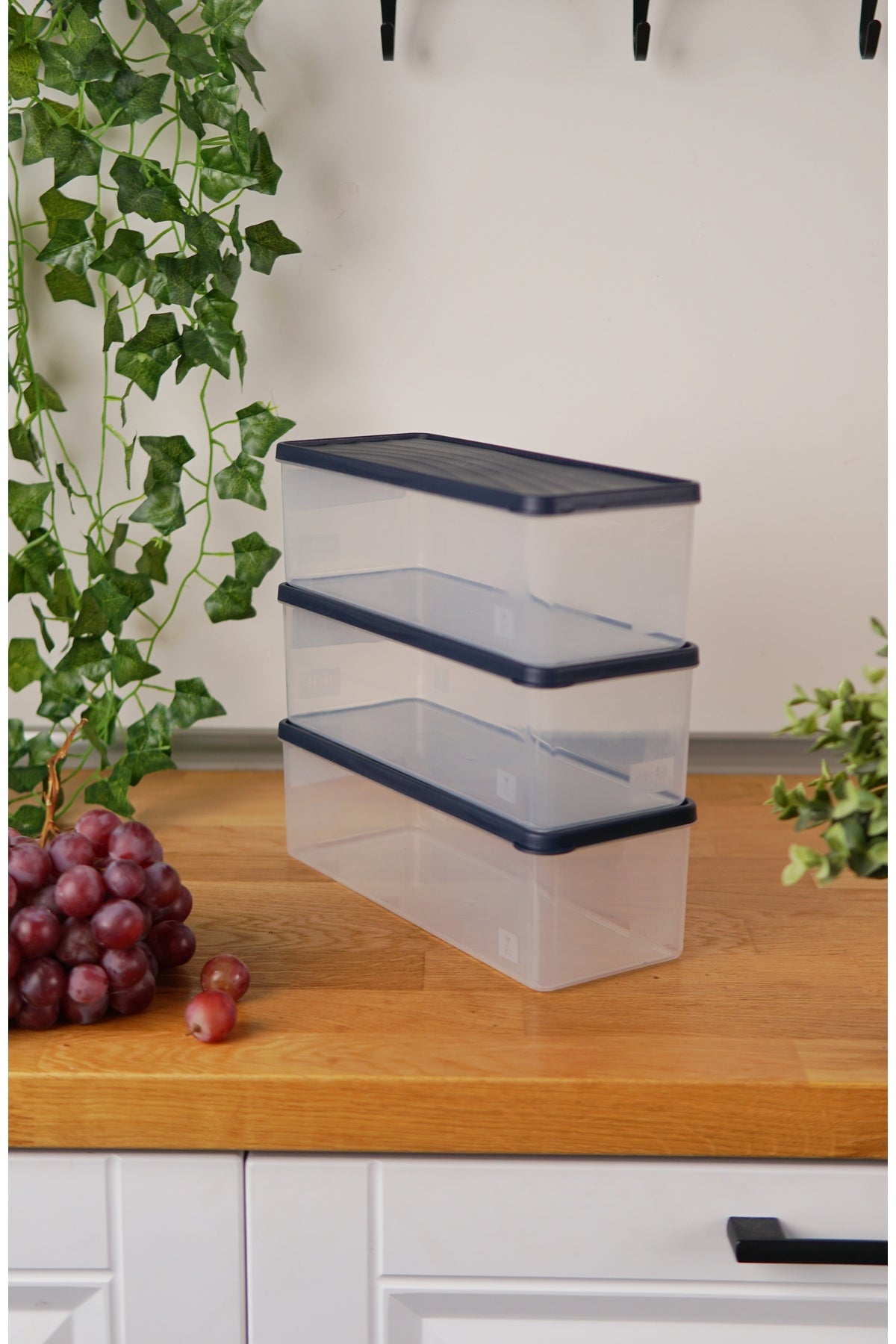 Evle Derin Dondurucu Saklama Kabı 3'lü Set (3 x 2 Lt), Mavi