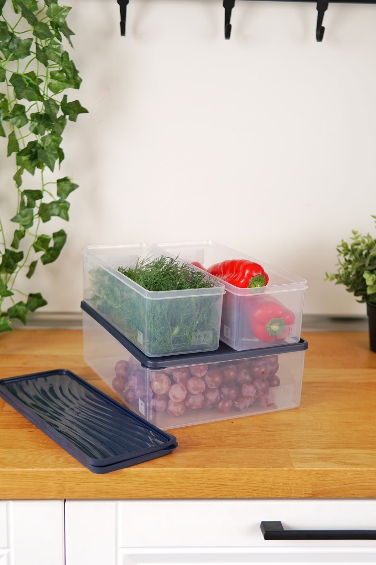 Evle Derin Dondurucu Saklama Kabı 3'lü Set (5 Lt + 2 x 2 Lt), Mavi