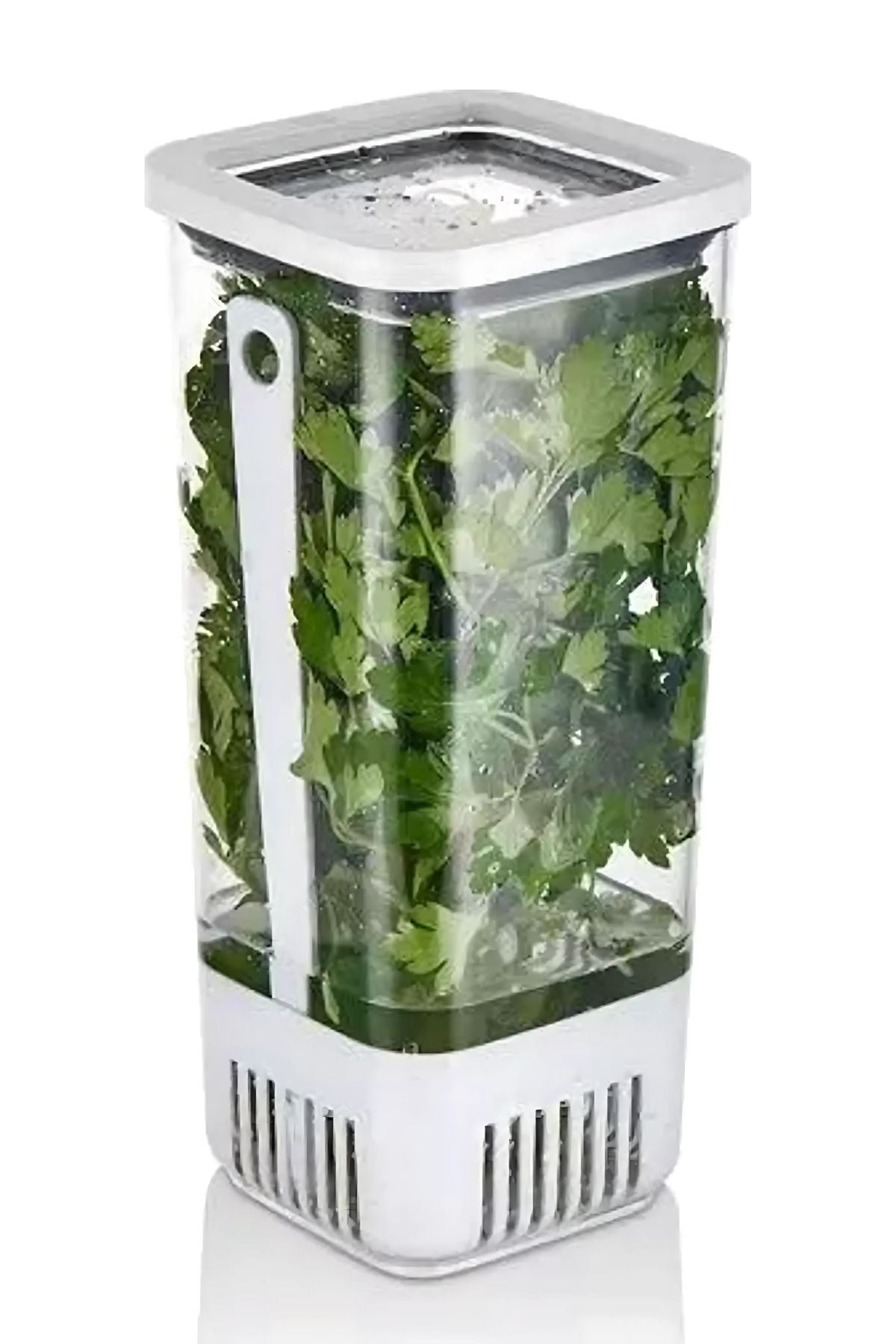 Evle Yeşillik Saklama Kabı 2'li Eko Set 1,7 Litre