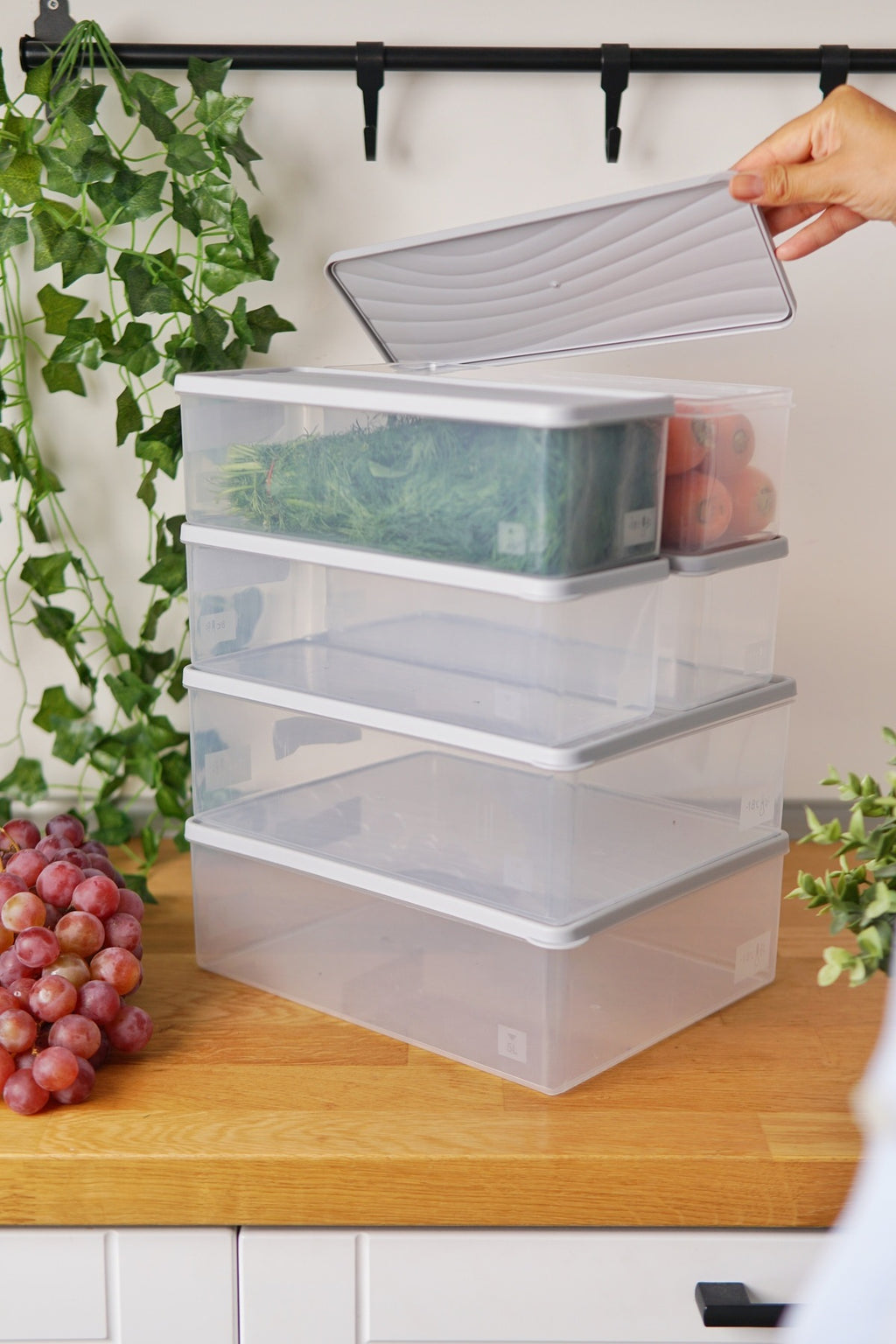Derin Dondurucu Saklama Kabı 6'lı Set (2 x 5 Lt + 4 x 2 Lt), Gri