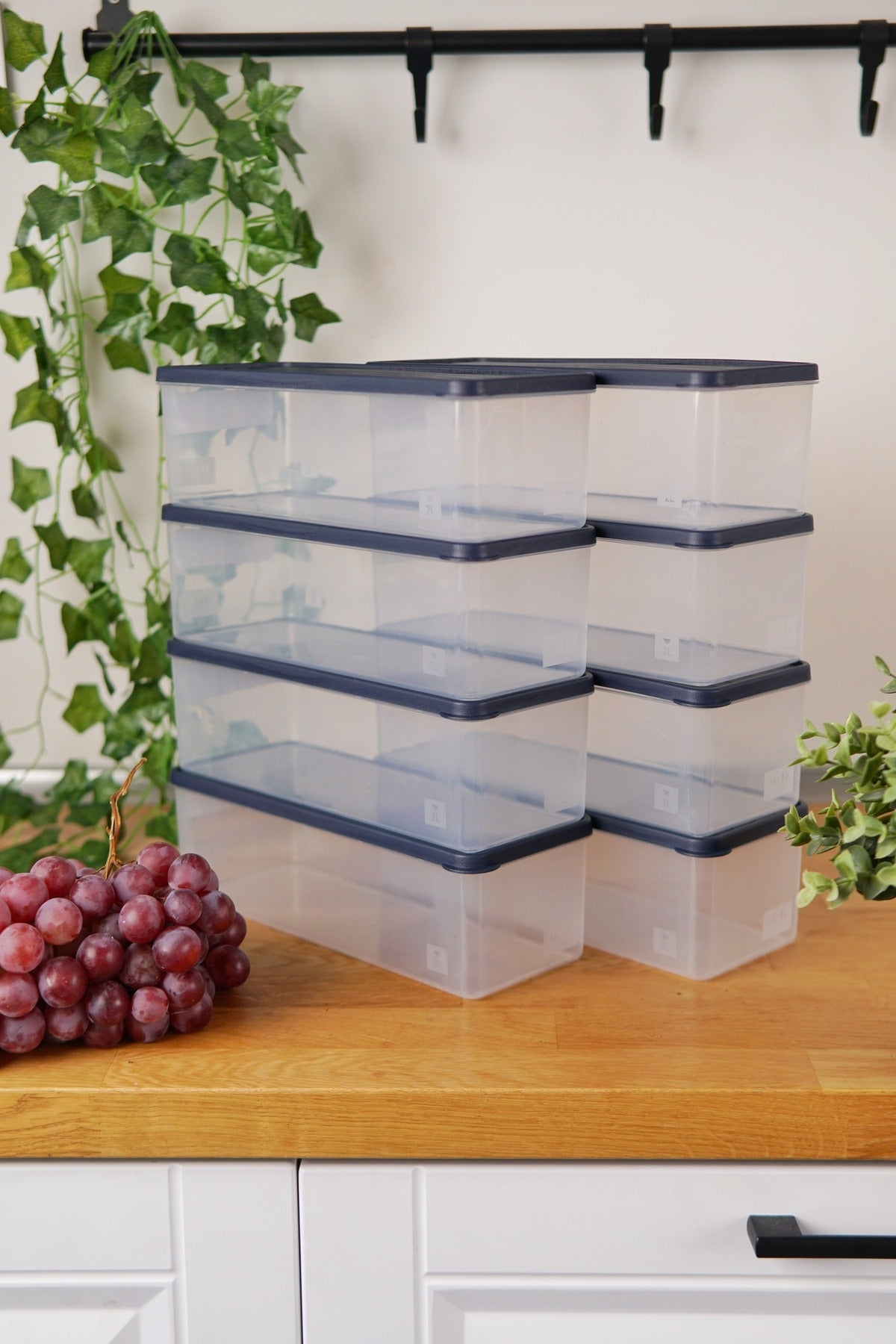 Derin Dondurucu Saklama Kabı 8'li Set (8 x 1 Lt), Mavi