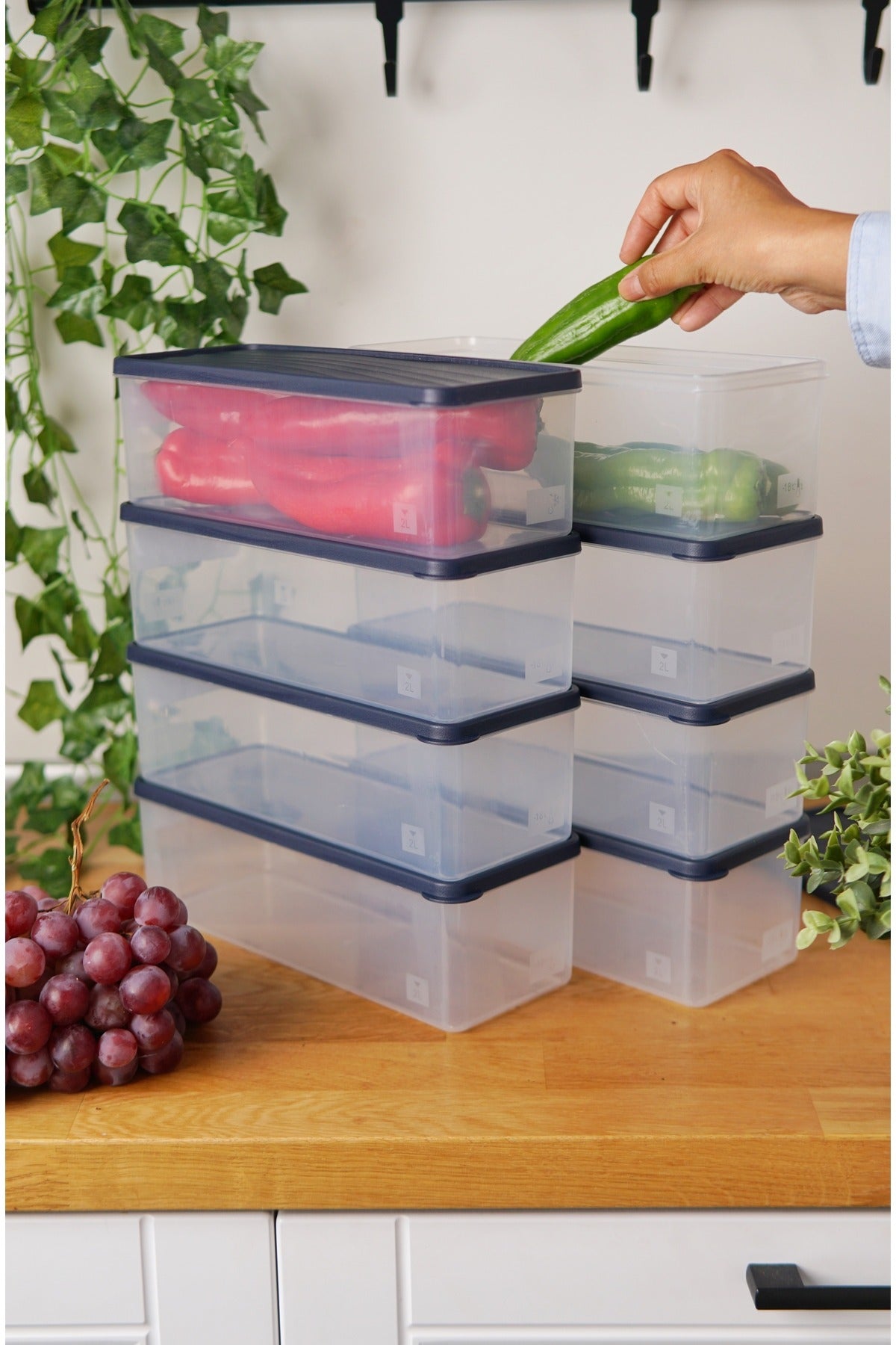 Derin Dondurucu Saklama Kabı 8'li Set (8 x 1 Lt), Mavi