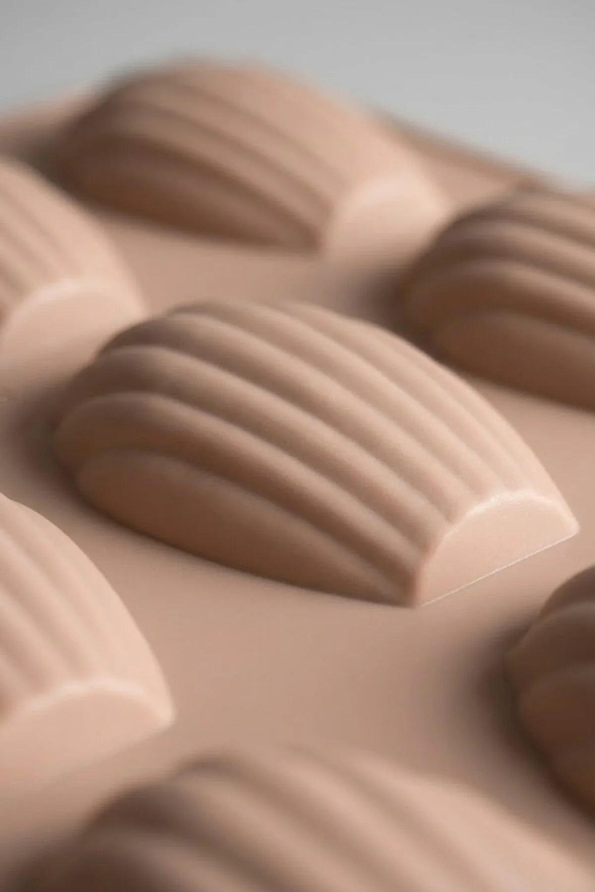 12 Gözlü Silikon Deniz Kabuğu Kek Kalıbı – Mini Kabuk Desenli, Yapışmaz Fırın Kalıbı 24,5 x 24,5 cm