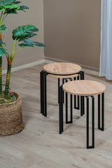 3'lü Zigon Sehpa Takımı, Modern Metal Ayaklı Yuvarlak Yan Sehpa, Ahşap Tablalı Orta Sehpa